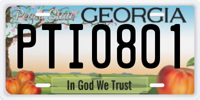 GA license plate PTI0801