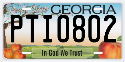 GA license plate PTI0802