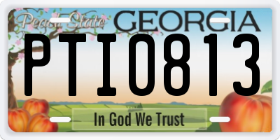 GA license plate PTI0813