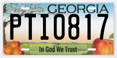 GA license plate PTI0817