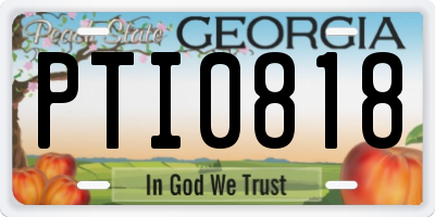 GA license plate PTI0818