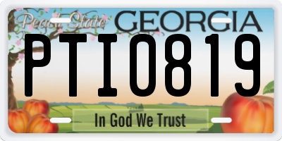 GA license plate PTI0819