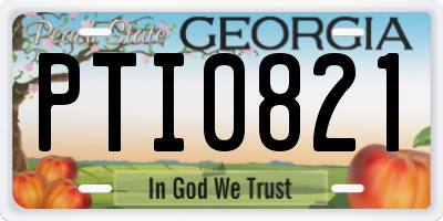 GA license plate PTI0821
