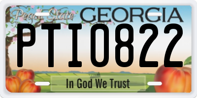 GA license plate PTI0822