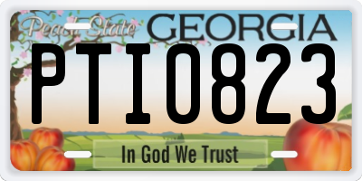 GA license plate PTI0823