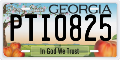 GA license plate PTI0825