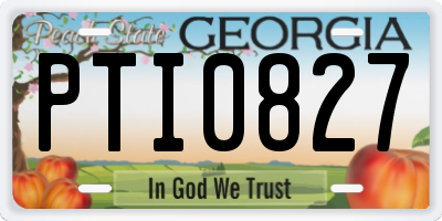 GA license plate PTI0827