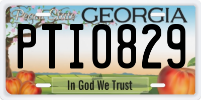 GA license plate PTI0829