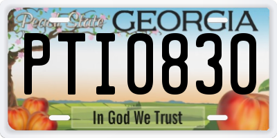 GA license plate PTI0830
