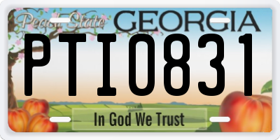 GA license plate PTI0831