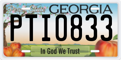 GA license plate PTI0833