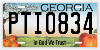 GA license plate PTI0834