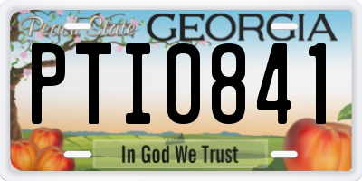 GA license plate PTI0841