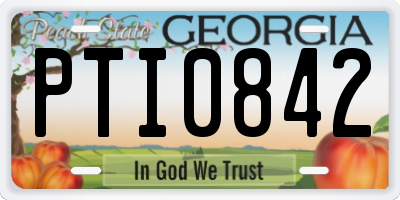 GA license plate PTI0842