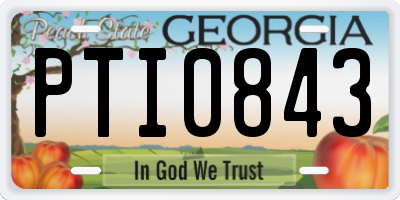 GA license plate PTI0843