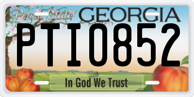 GA license plate PTI0852