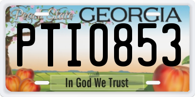 GA license plate PTI0853