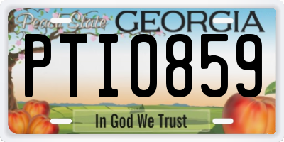 GA license plate PTI0859