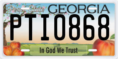 GA license plate PTI0868