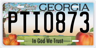 GA license plate PTI0873