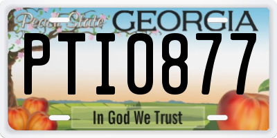 GA license plate PTI0877