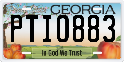GA license plate PTI0883