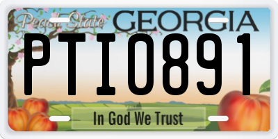 GA license plate PTI0891