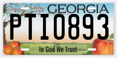 GA license plate PTI0893