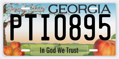 GA license plate PTI0895