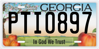 GA license plate PTI0897