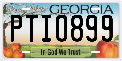 GA license plate PTI0899