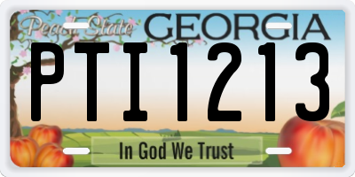 GA license plate PTI1213