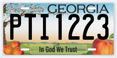 GA license plate PTI1223