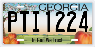 GA license plate PTI1224
