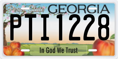 GA license plate PTI1228