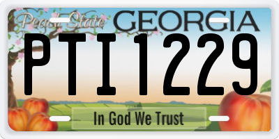 GA license plate PTI1229