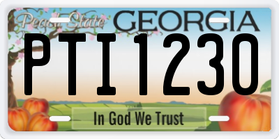 GA license plate PTI1230