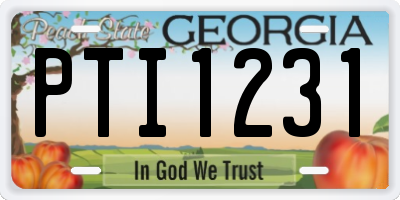 GA license plate PTI1231