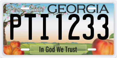 GA license plate PTI1233
