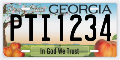 GA license plate PTI1234