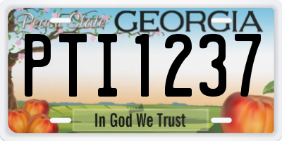GA license plate PTI1237
