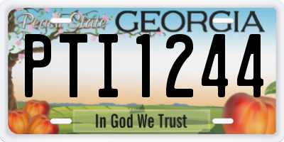 GA license plate PTI1244