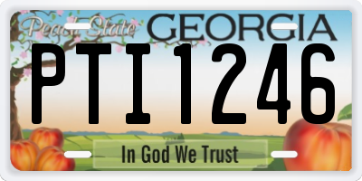 GA license plate PTI1246