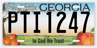 GA license plate PTI1247