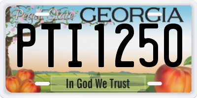 GA license plate PTI1250