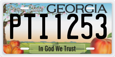 GA license plate PTI1253