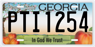 GA license plate PTI1254