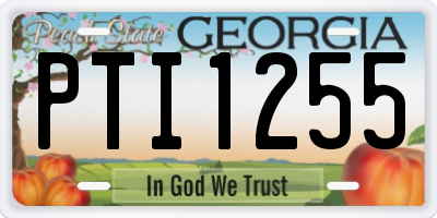 GA license plate PTI1255