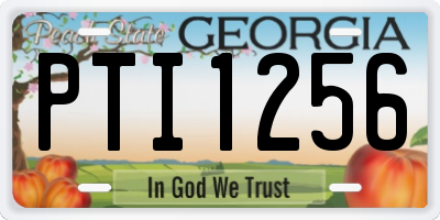 GA license plate PTI1256
