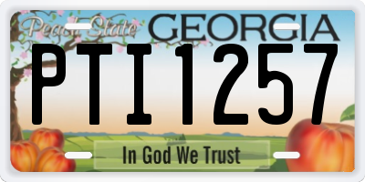 GA license plate PTI1257